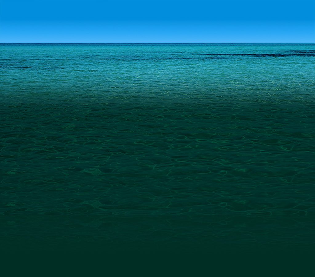 picture of the ocean