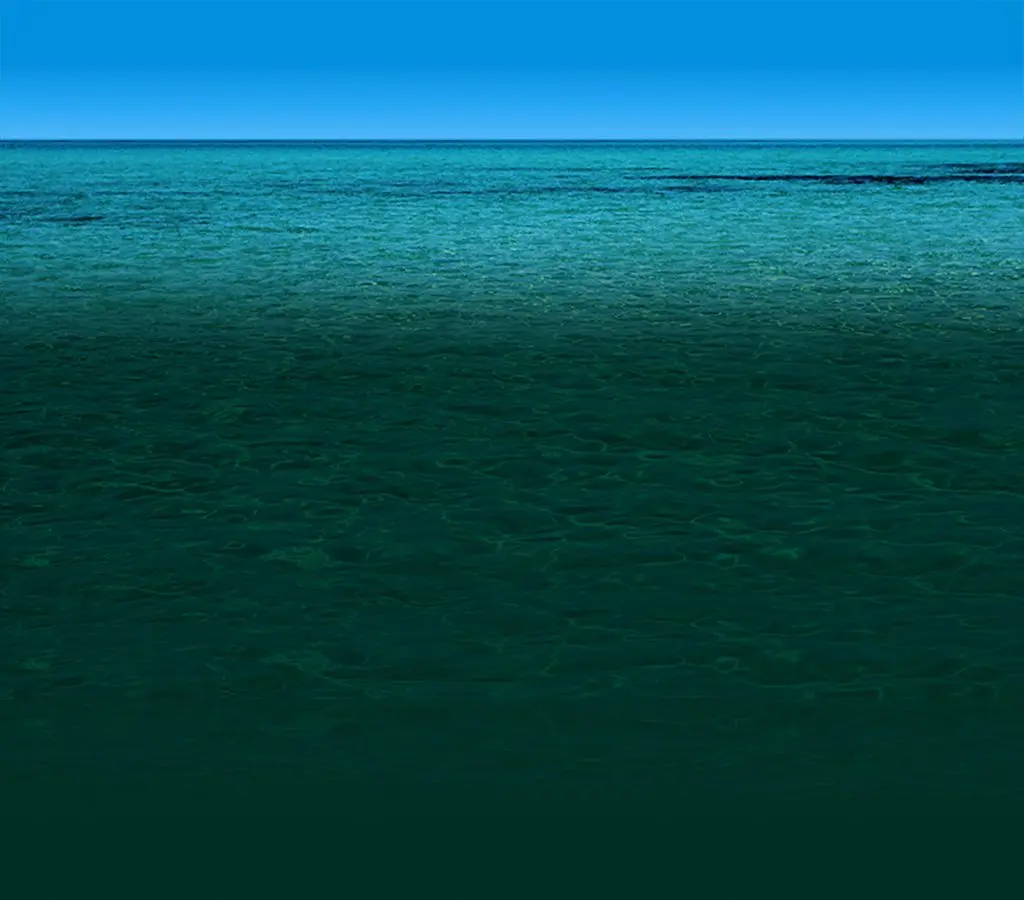 picture of the ocean