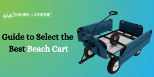 Guide to Select the Best Beach Cart